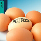 Noris Egg Stamping Ink 250ml #170 Red