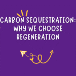 carbon sequestration we choose regeneration