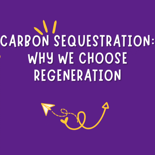 carbon sequestration we choose regeneration