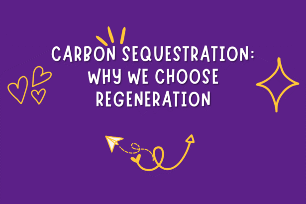 carbon sequestration we choose regeneration