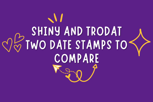 self inking date stamps